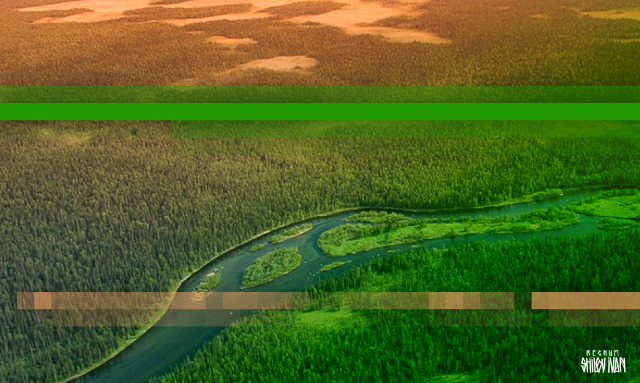    Республика Коми Иван Шилов © ИА REGNUM