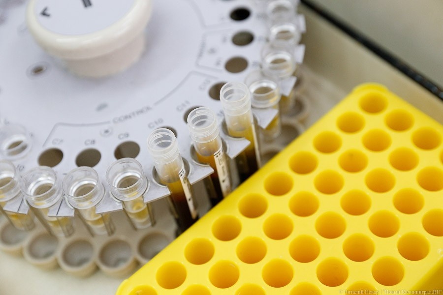 Фото: Виталий Невар / Новый Калининград