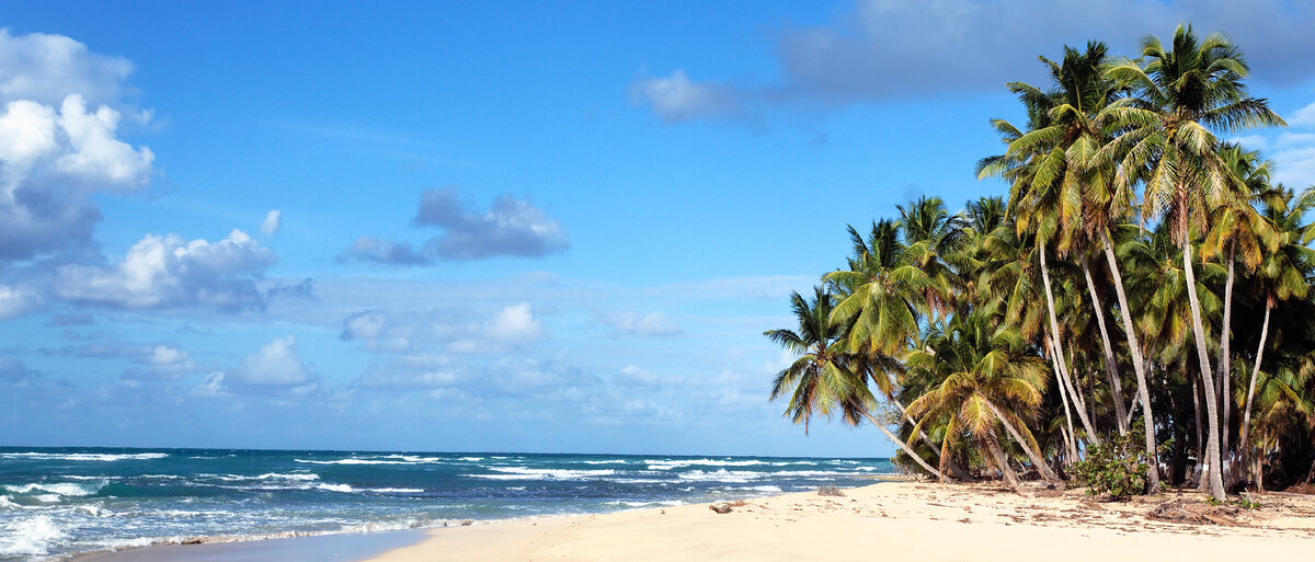 <a href="https://www.freepik.com/free-photo/panoramic-view-caribbean-beach-sun_10801994.htm / Image by vwalakte</a> on Freepik