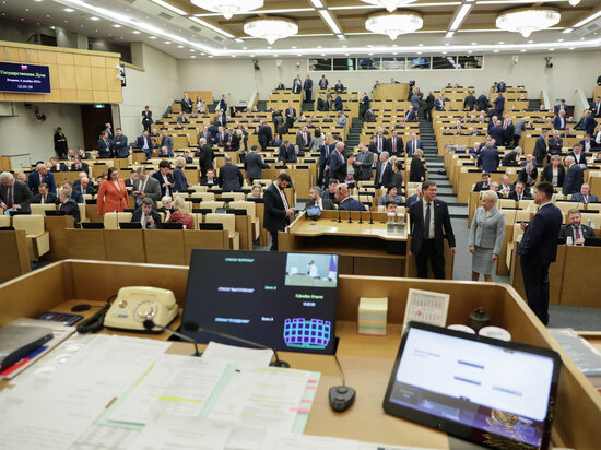     Фото: duma.gov.ru