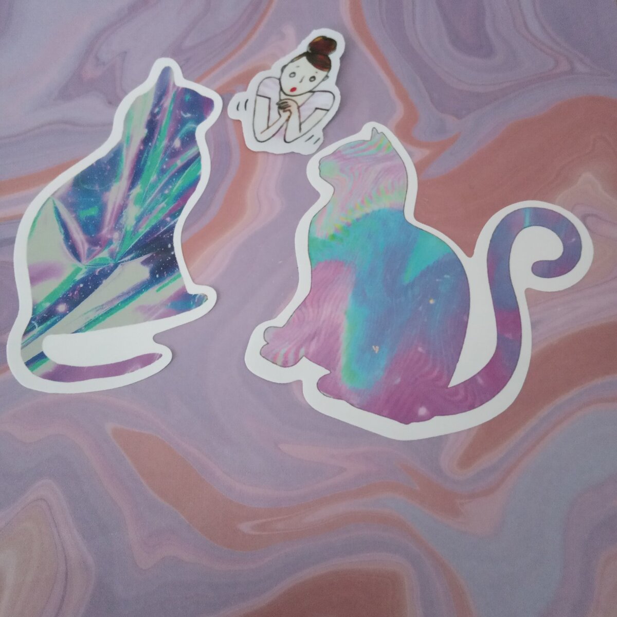 Кота ты можешь не любить, но уважать  права - обязан!