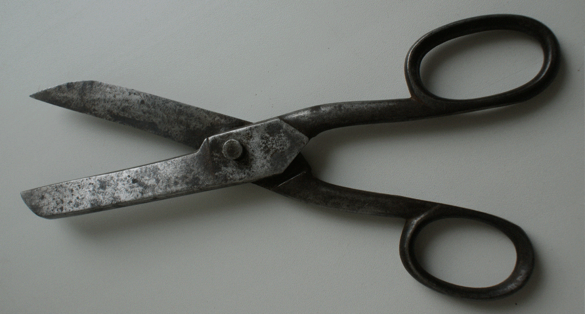 фото из интернета