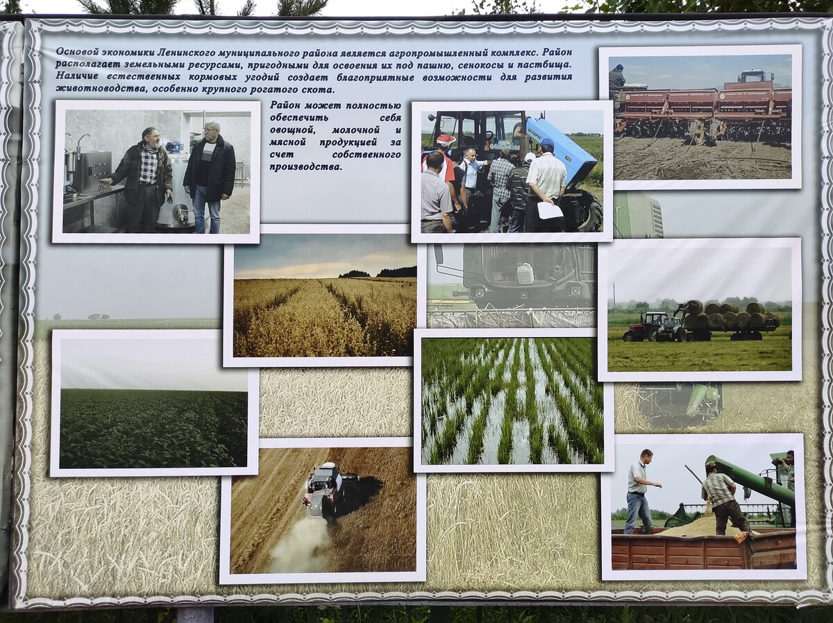 Инфостенды в центре Ленинского не дают забыть о том, что ты в сельскохозяйственном регионе. 