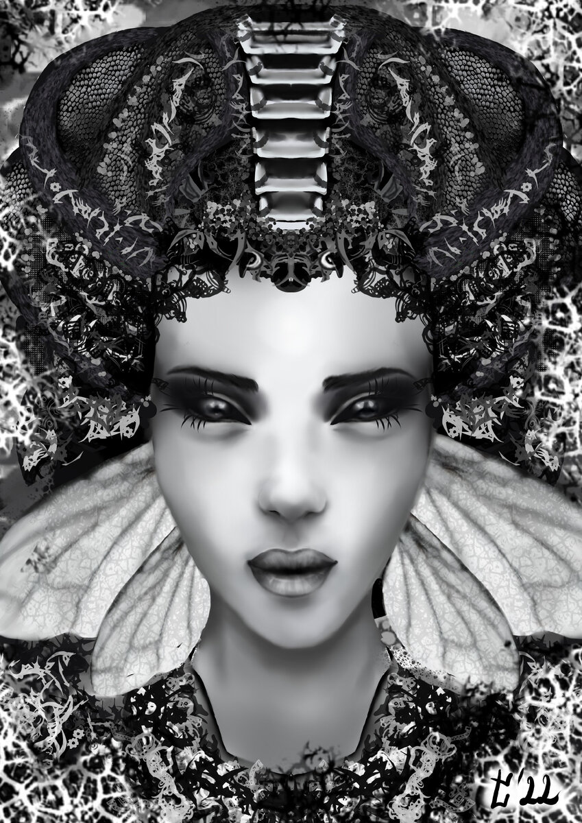 картинка автора