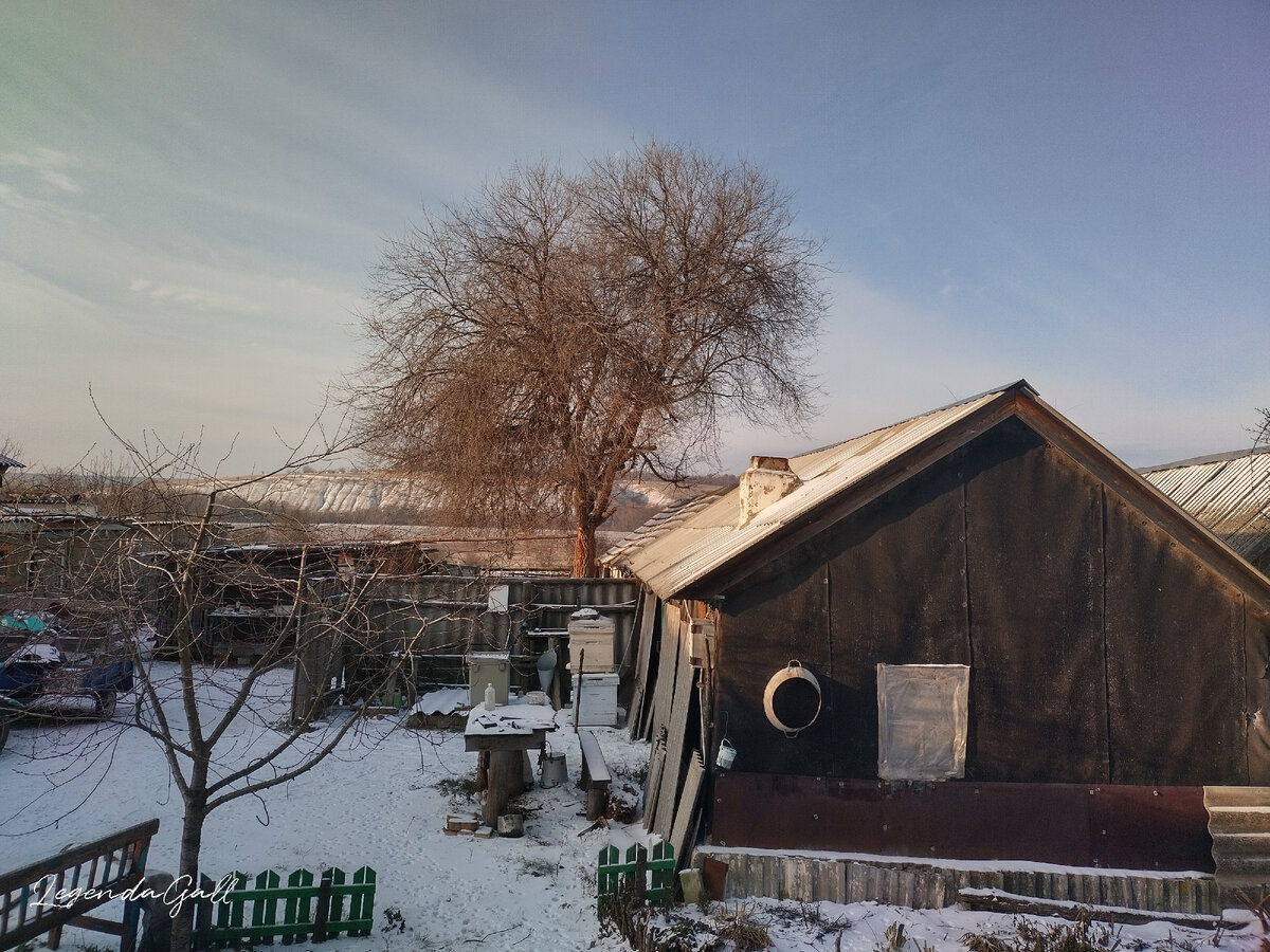 Это из окна кухни