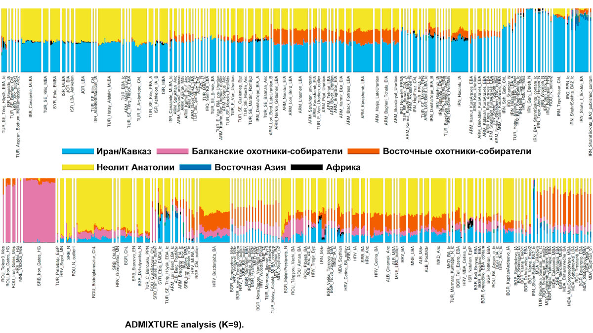 От Кавказа до Европы – генетическая история и индоевропейские языки