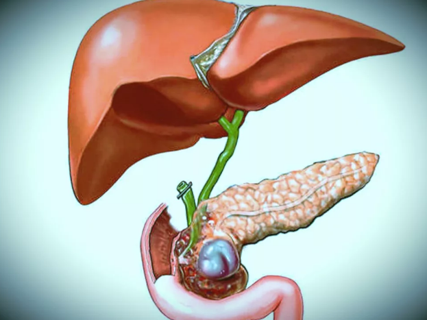 Фотография взята и источника yandex.ru