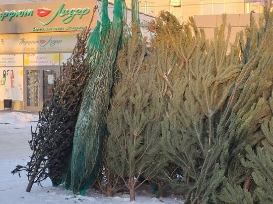     Фото Натальи Шлюшинской / "МК в Омске"