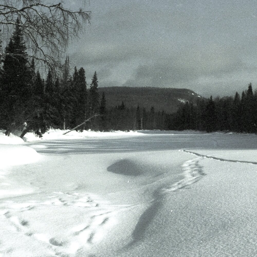 старый след (фото автора)