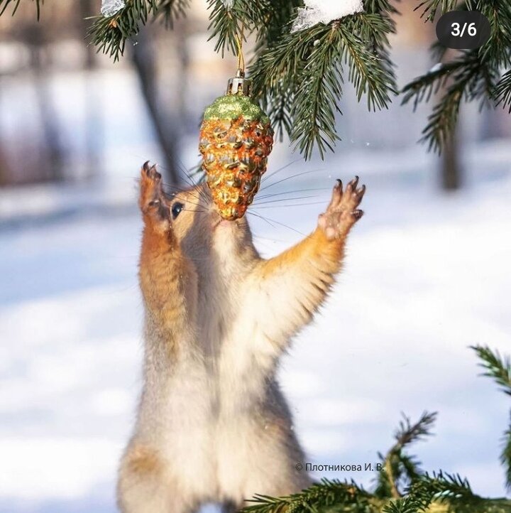 -2-2