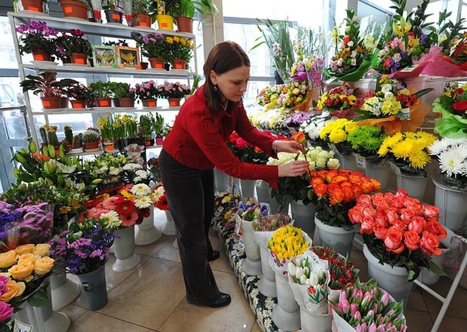 Живые цветы интернет магазин. Цветы магазинные. Торговля цветами. Цветы в горшках в цветочных магазинах. Оптовый магазин цветов.