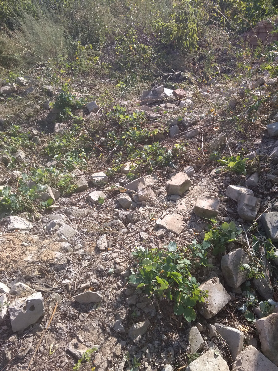 Руины, которые были на участке