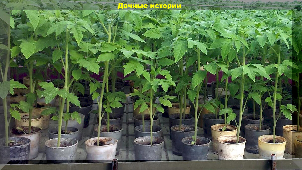 https://vk.com/photo-159774511_457258269