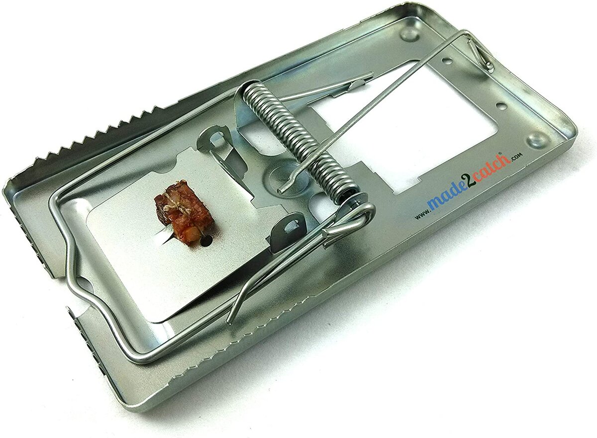 Фото с Яндекс