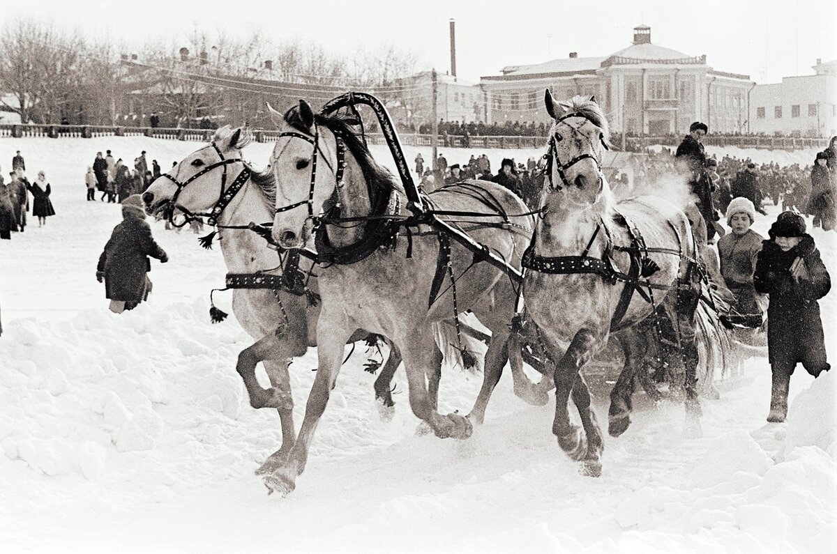 московский клуб лыжников 1895