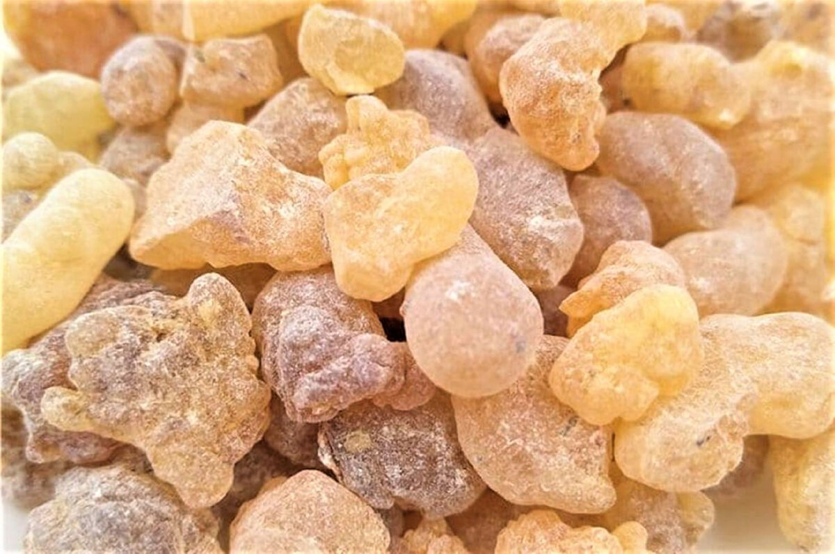 Ладан это запах чего. Ладан это запах чего. Ладан в церкви. Смола олибанум 1000г. Смола олибанум.