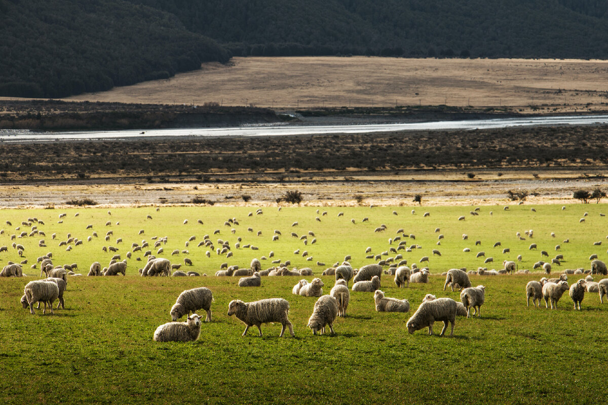 Martin Bisof from unsplash.com