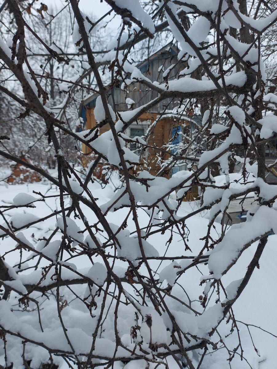 Домик в деревне