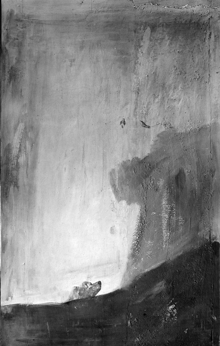 На фотографии Ж. Лорана, сделанной ок. 1874 года, до переноса картины из «Дома Глухого», можно увидеть предположительно очертания скалы и птиц, на которых смотрит собака