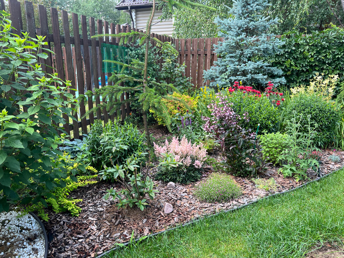 Лето в моем саду