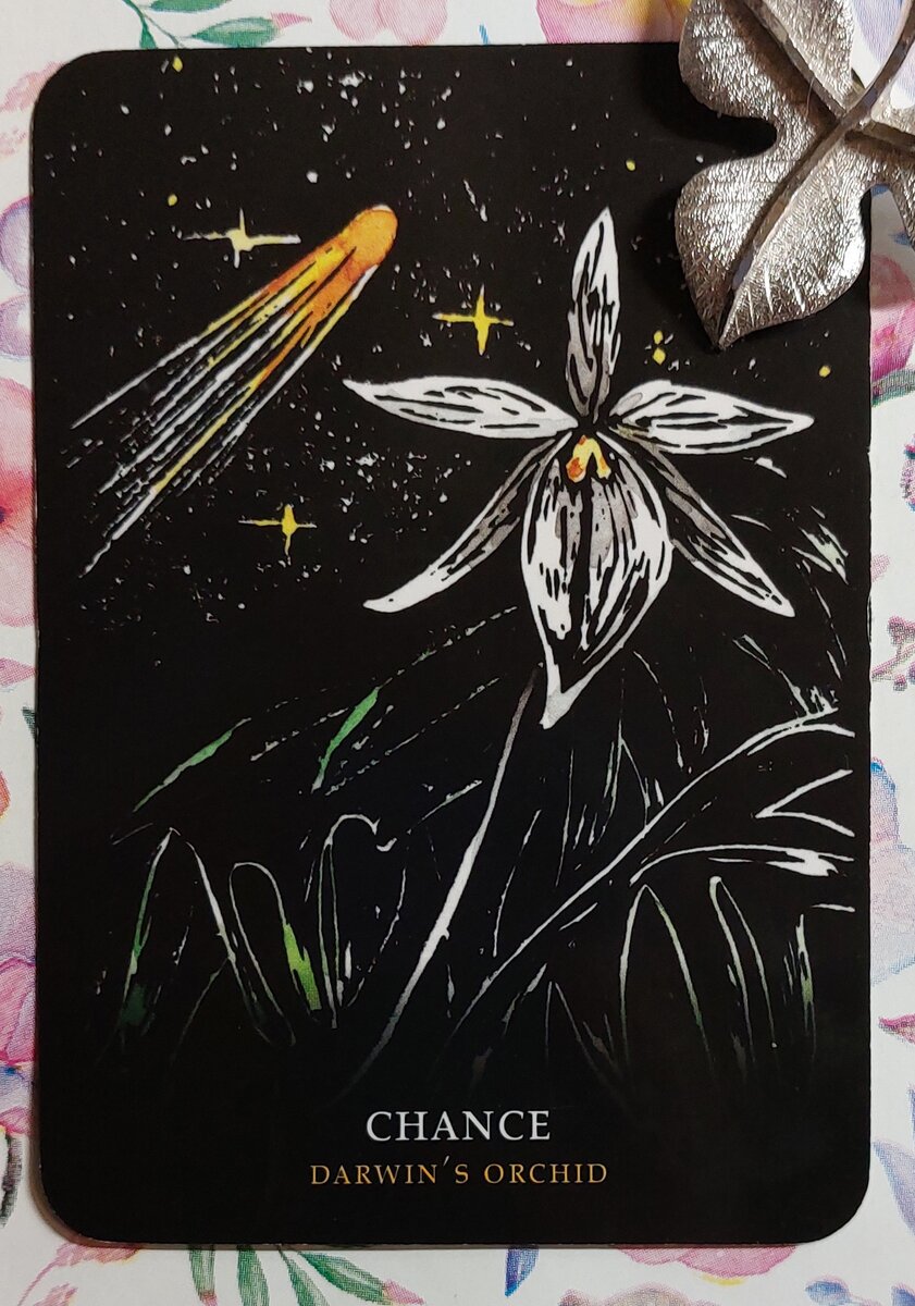 Колода: "Flowers of the Night Oracle" by Cheralyn Darcey