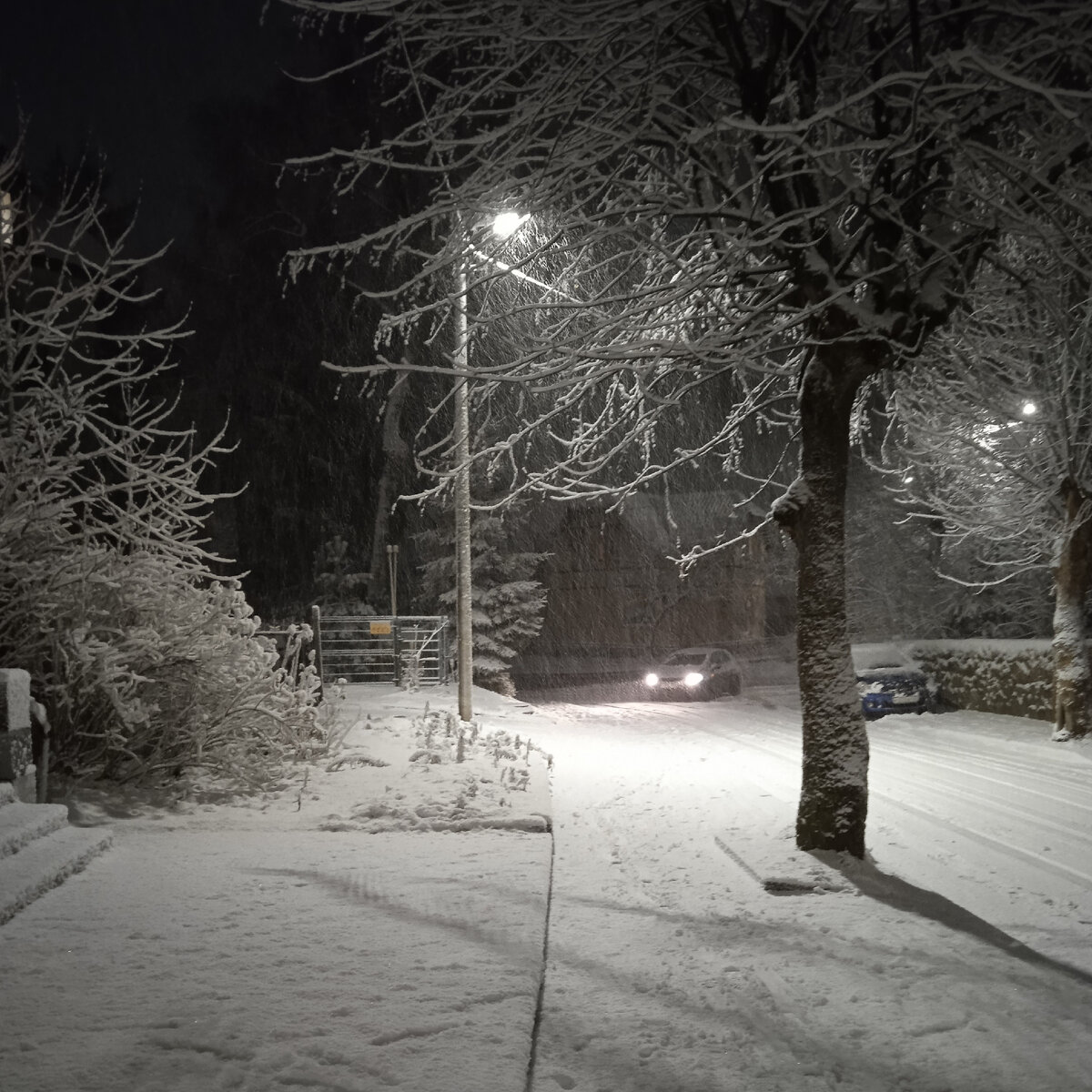 Светлогорск в снегопад