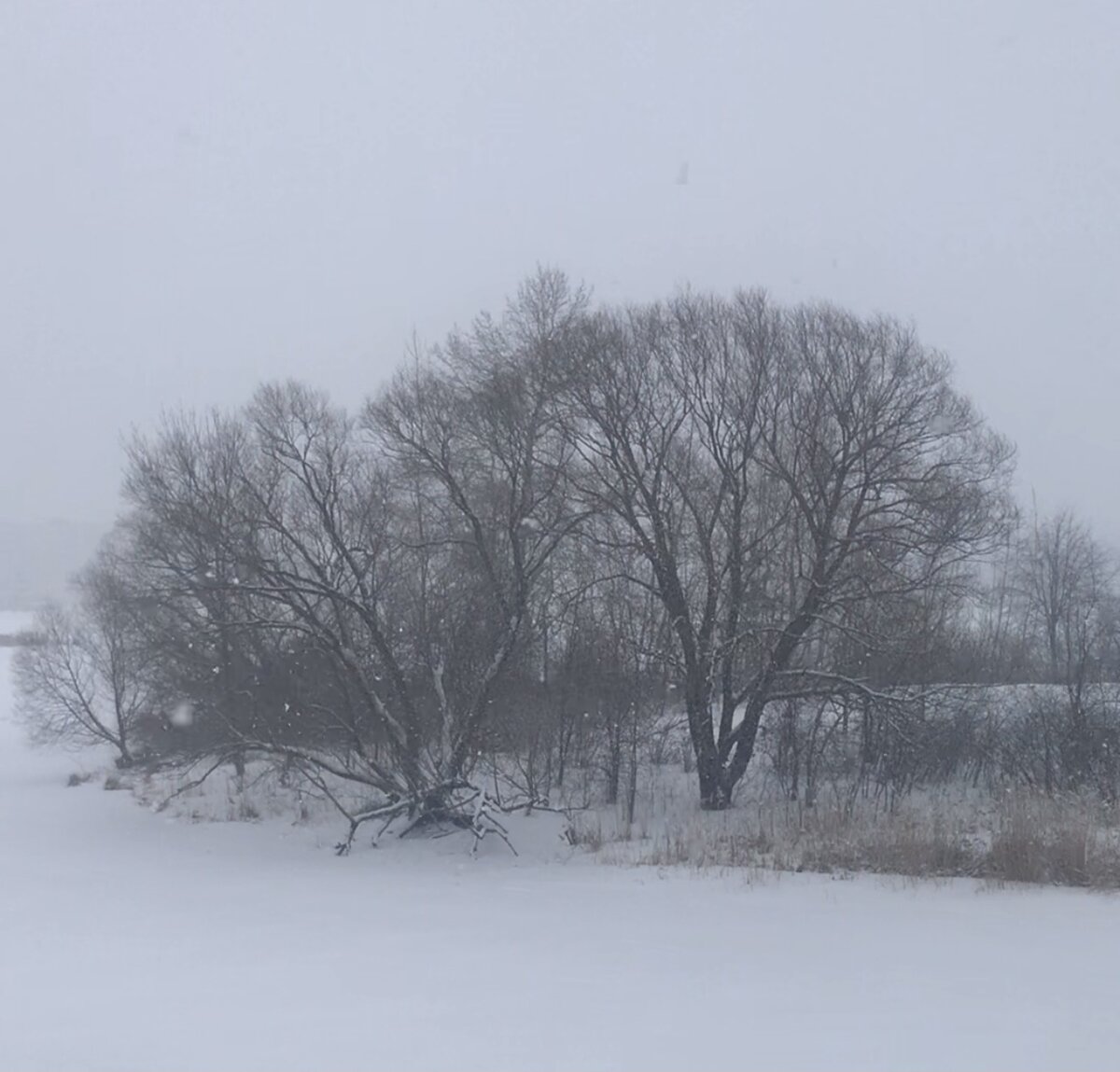 Все фото Автора канала.
