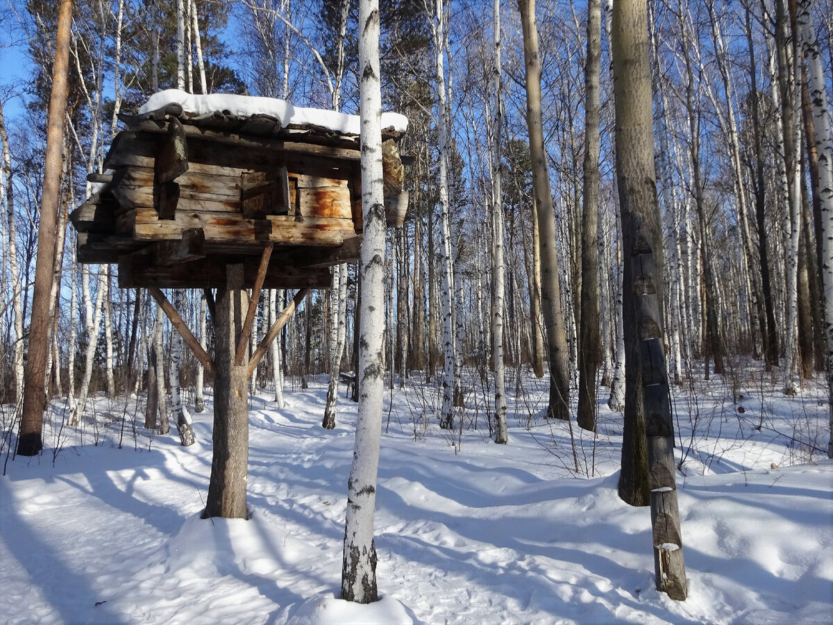 Архитектурно-этнографический музей «Тальцы». Охотничье-промысловый стан