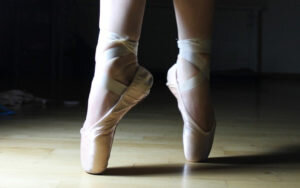    Фото: Pixabay.com Игнатенко Виктор