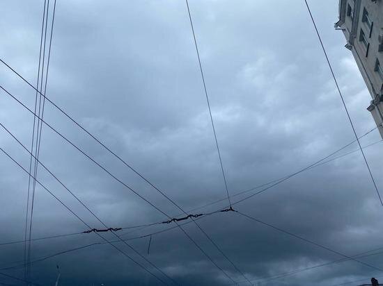     Фото: МК на Дону