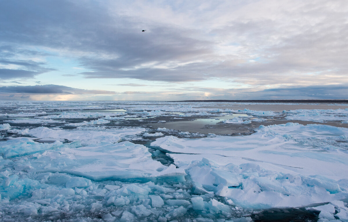 Росконгресс