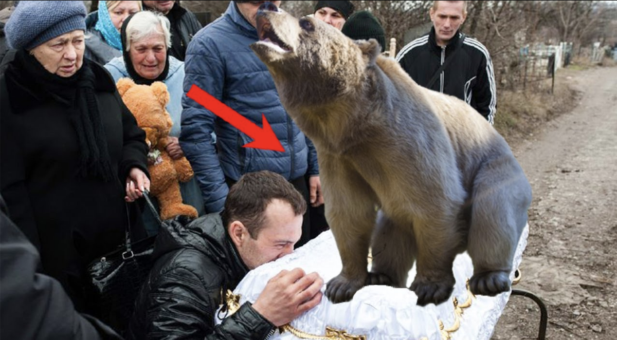 Похороны медведя. Медведь. Медведь и человек. Человек в медвежьей.