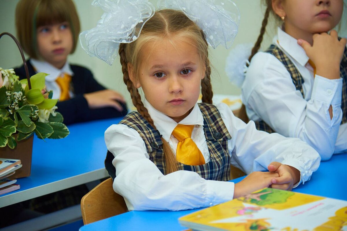 4 вид школьников