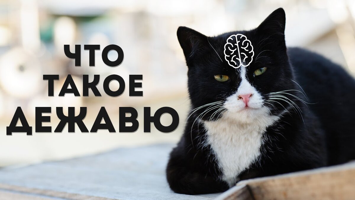 Что такое дежавю. Дежавю. де жа вю картинки. эмиль буарак дежавю. дежавю рисунок.