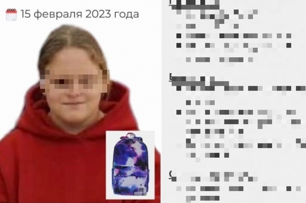    В Пермском крае остановлены поиски пропавшей в феврале 17-летней девочки