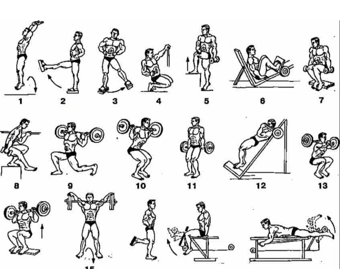Комплекс тренировок в тренажерном зале на силу