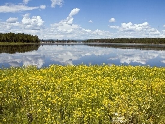     фото пресс-службы Байкальской природоохранной прокуратуры