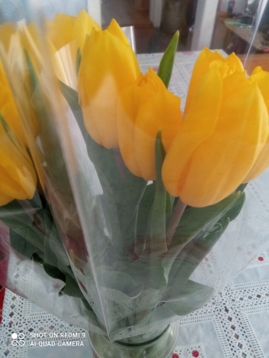 фото автора, цветы подаренные мне на 8 марта 