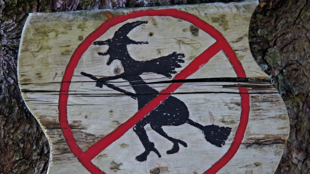 Фото: pxhere.com