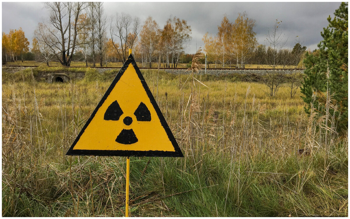 Данная картинка из общедоступных ресурсов сети интернет принадлежит только ее авторам.