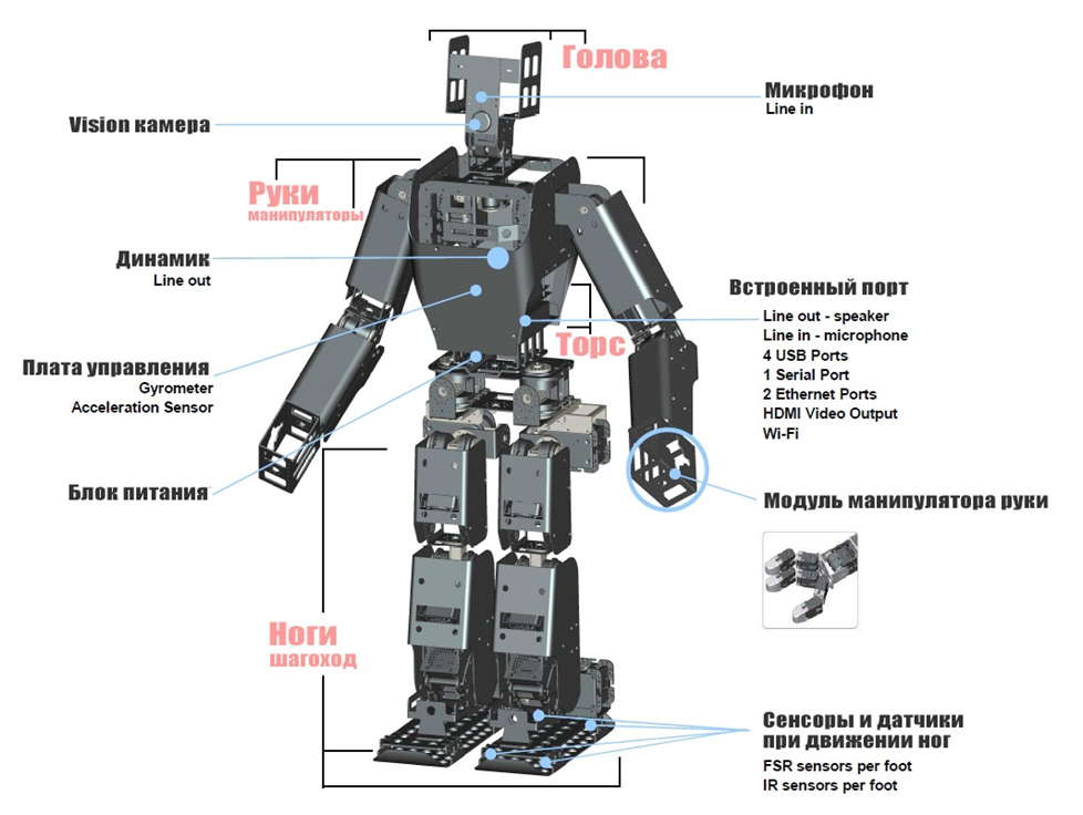 Из каких основных элементов состоит робот?. Основные компоненты роботов. Составные части робота. СИЗ чего состоит робот. Термины робототехники
