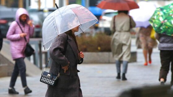    Небольшой дождь и до +12°C ждут москвичей 27 марта Анна Белая