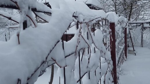 Весна, 28 марта, снегом занесло!!!