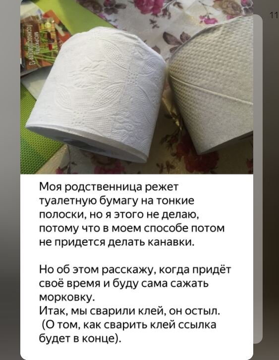 Как наклеить семена на туалетную бумагу