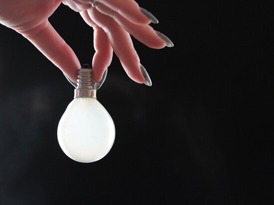     Фото: Василий Осипов / "МК в Черноземье"