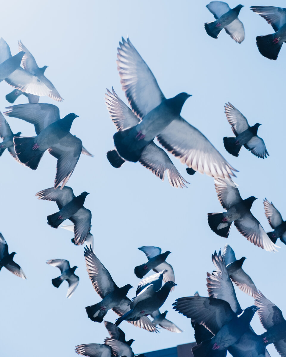 Фотография Зака Онга с сайта unsplash
