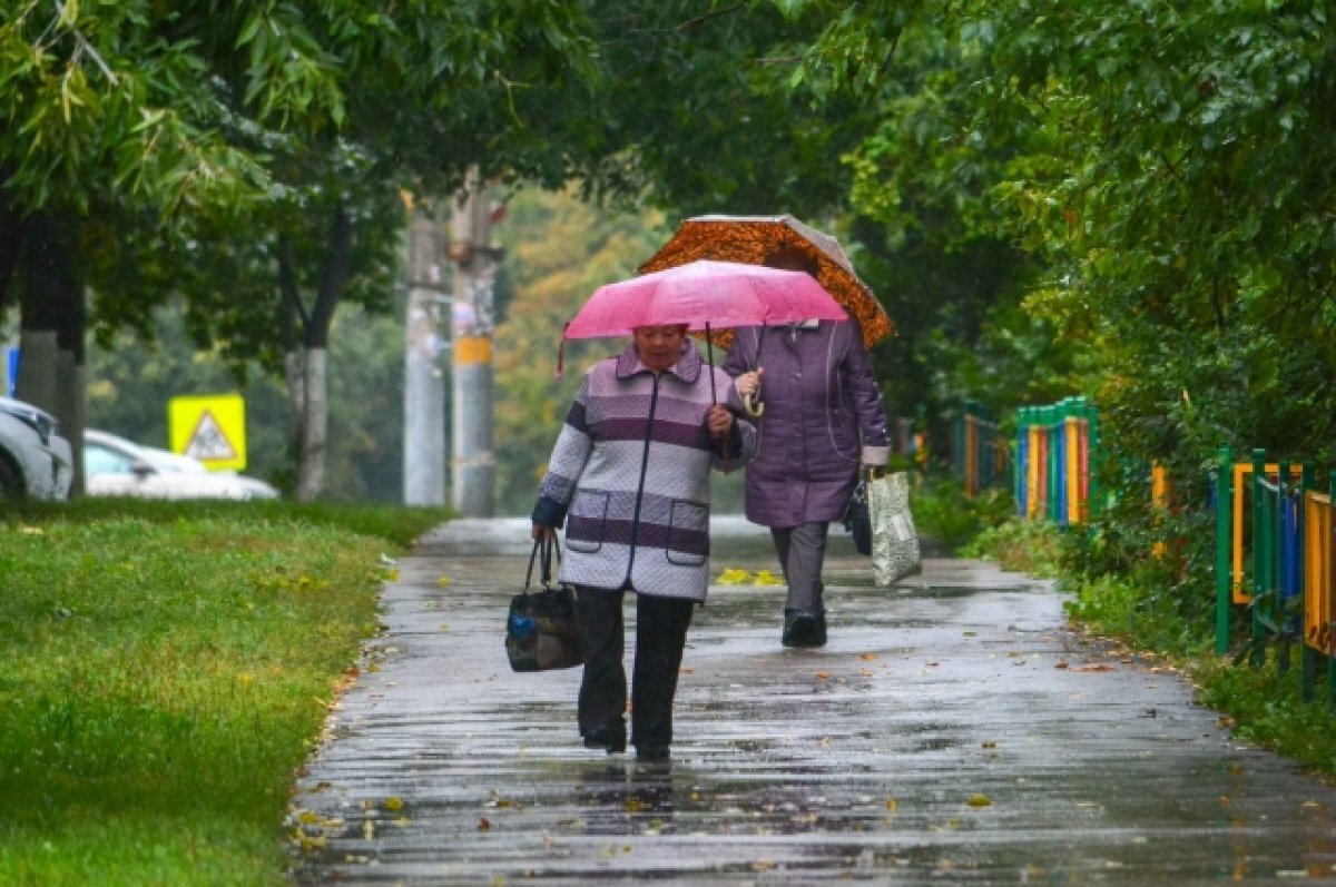    В Туле 30 апреля прогнозируют дождь и до +11