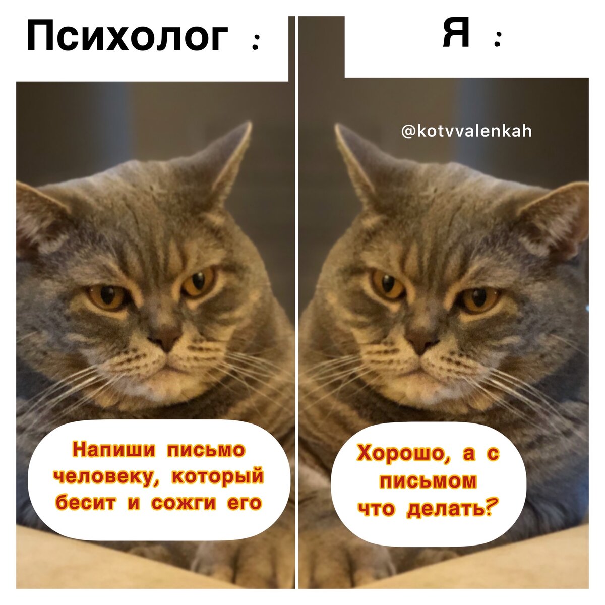 https://avatars.dzeninfra.ru/get-zen_doc/3768331/pub_645f167b96ec39533e7bfe1a_6464c6f0d228a63871c22434/scale_1200