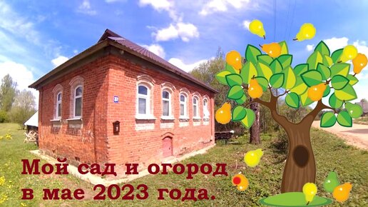 Мой сад и огород в мае 2023 года