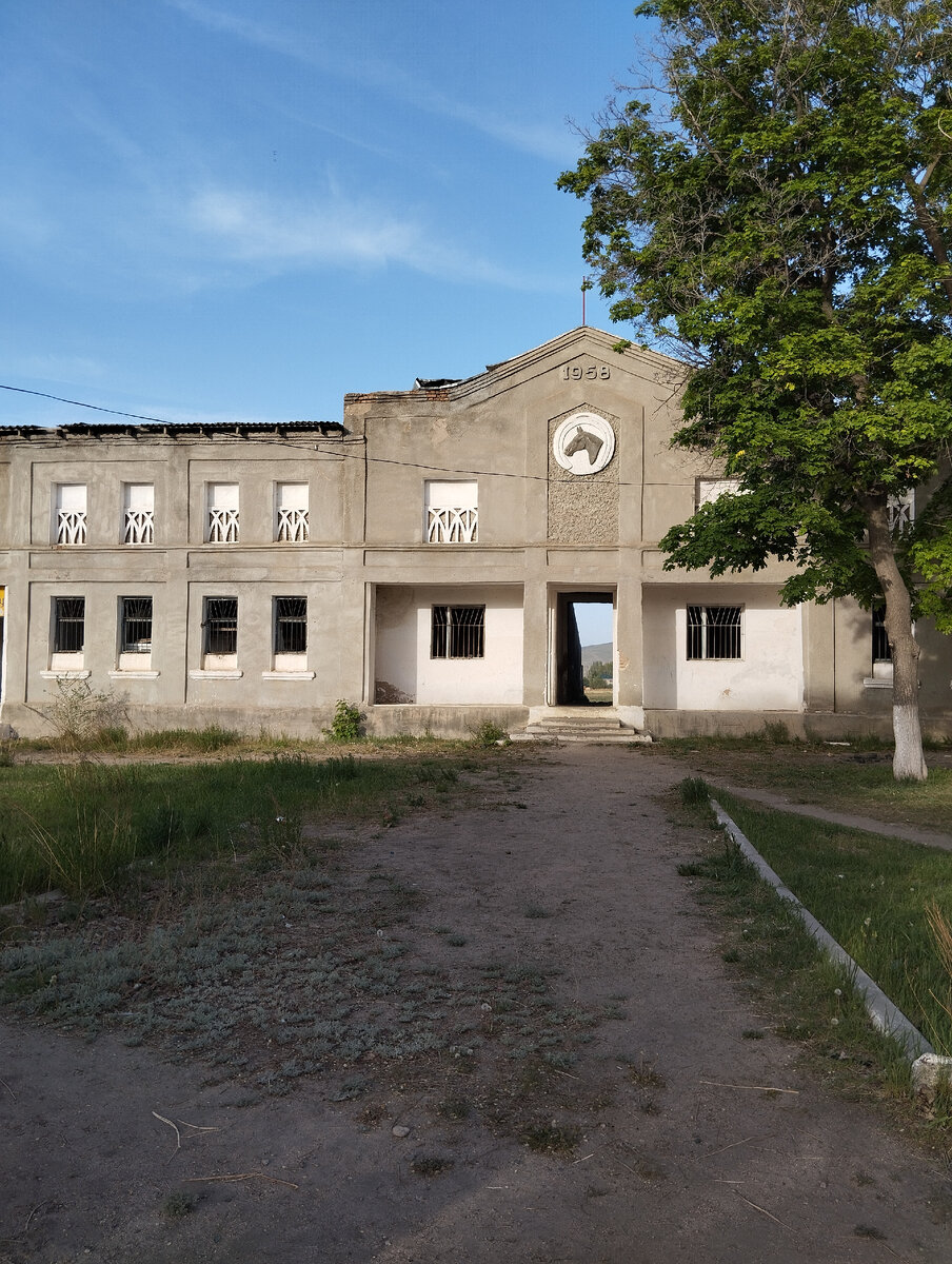 Каракольский ипподром фото автора